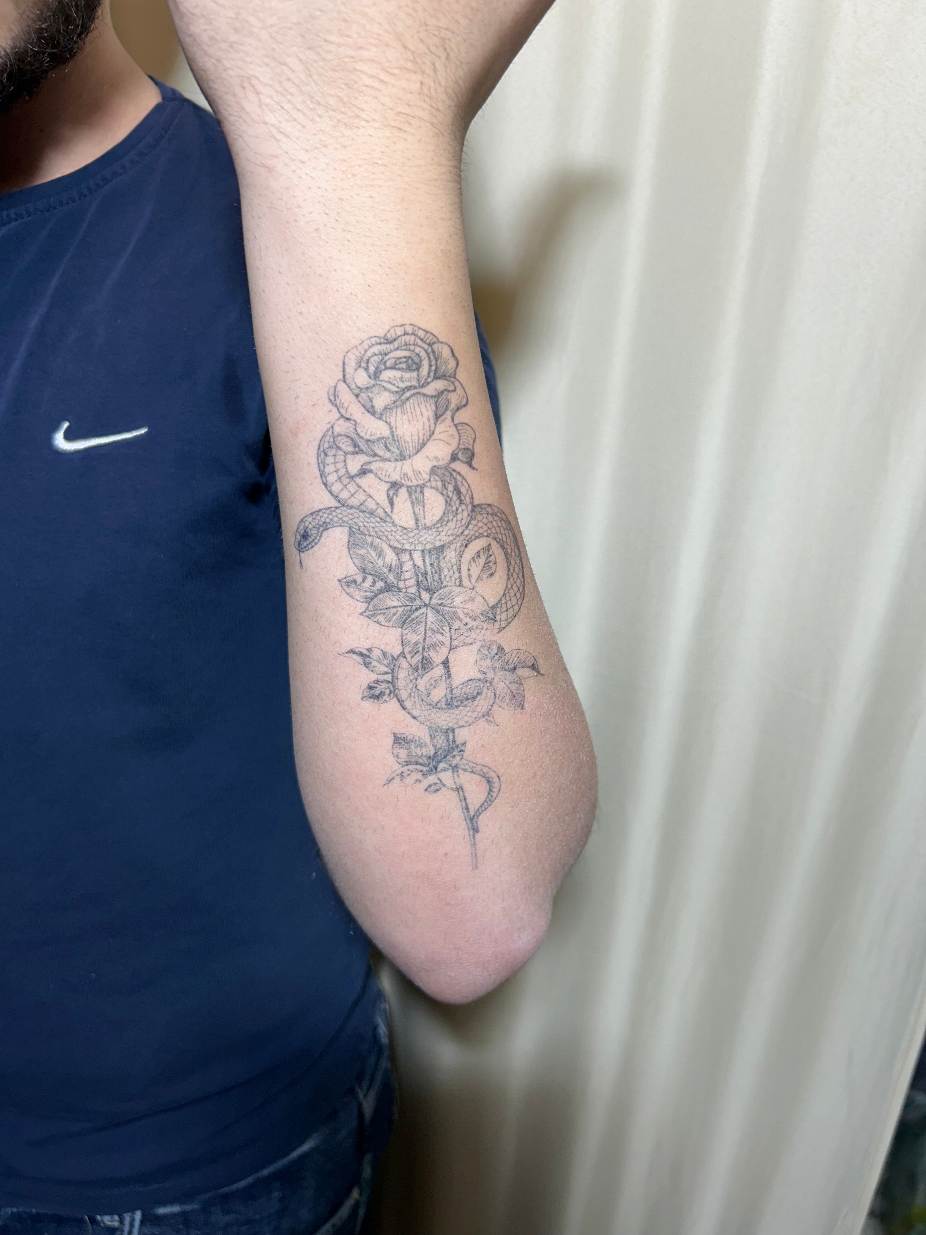 Il serpente della rosa