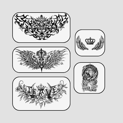 Pacchetto Leone Alato