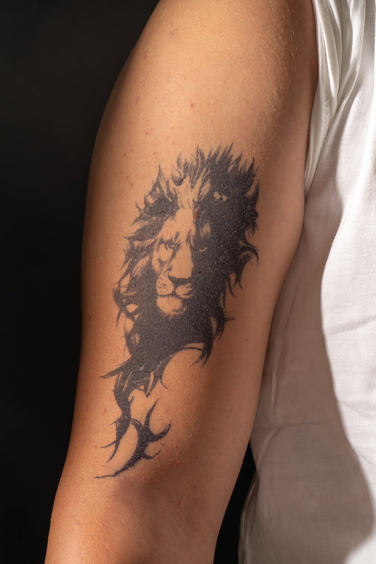 Il leone