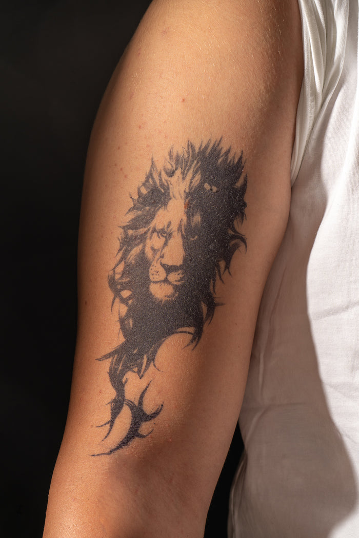 Il leone