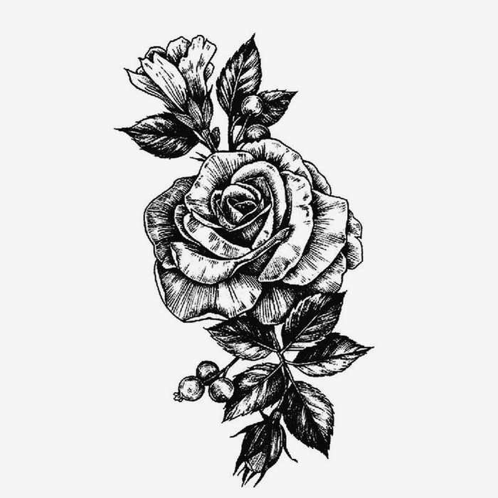 La rosa