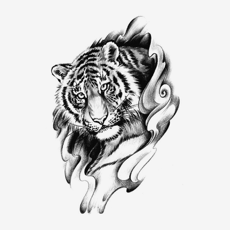 Lo sguardo della tigre