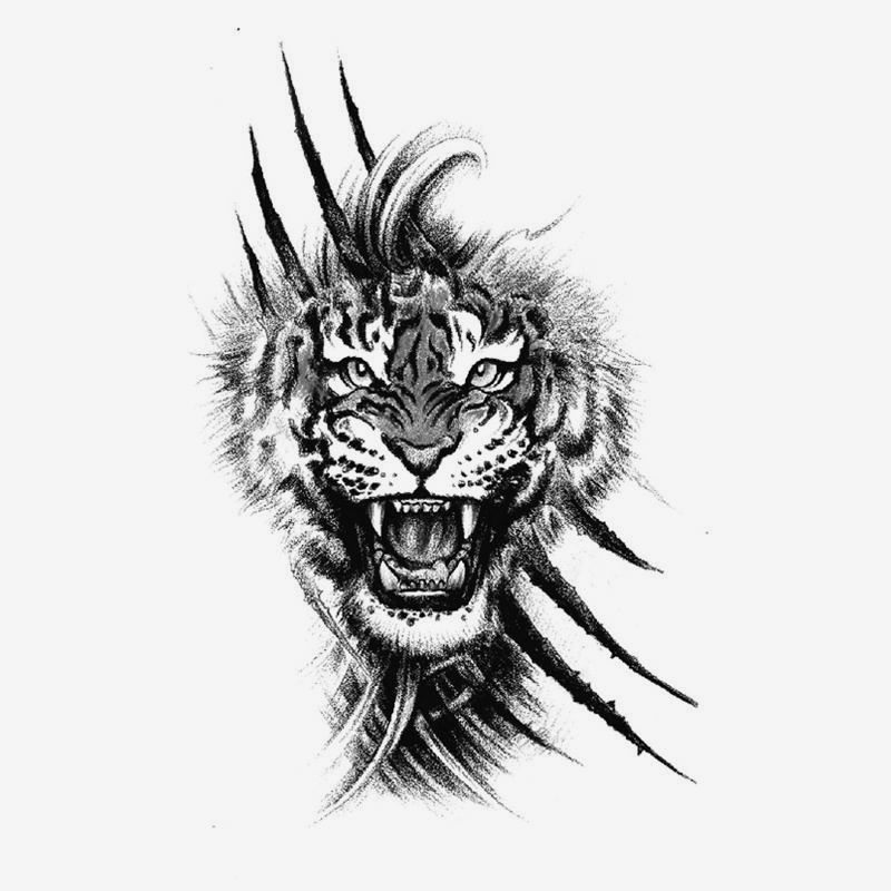 Il graffio della tigre