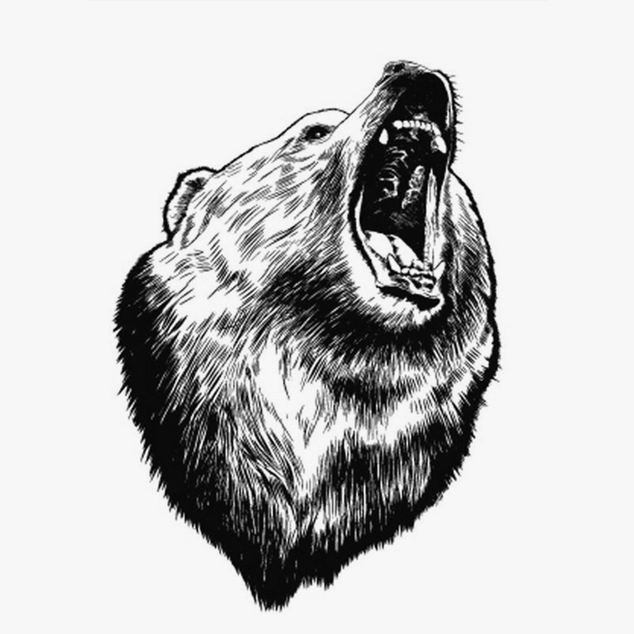Morso dell'orso