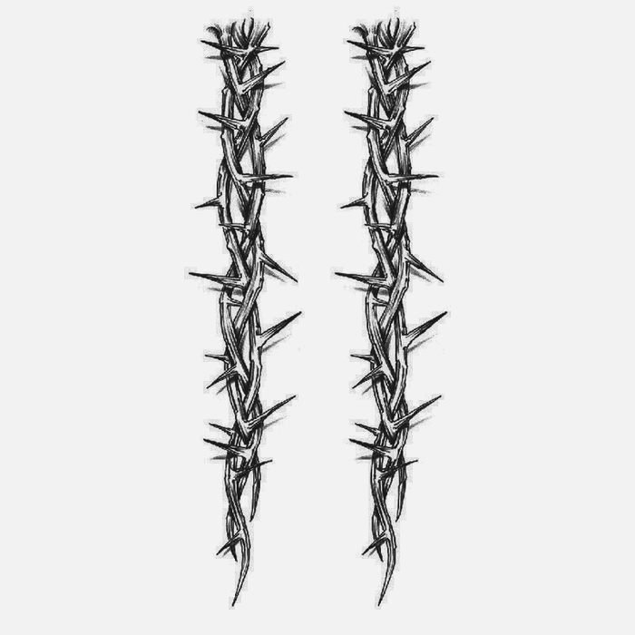 Spine