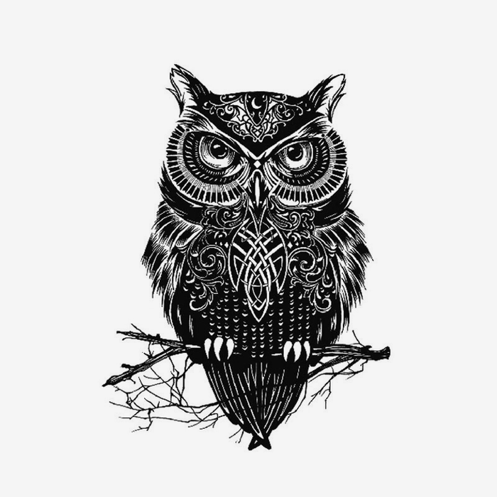 Il gufo