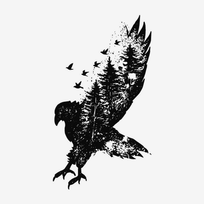 Uccello della foresta