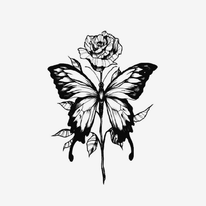 Farfalla della rosa